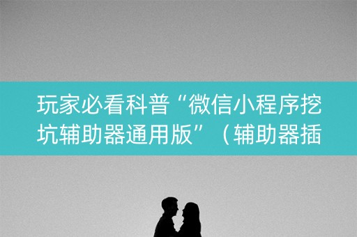 玩家必看科普“微信小程序挖坑辅助器通用版”（辅助器插件)