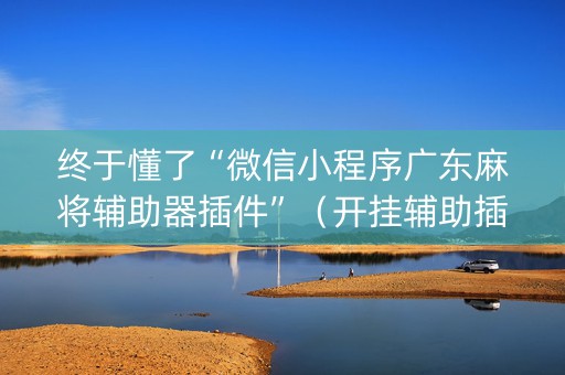 终于懂了“微信小程序广东麻将辅助器插件”（开挂辅助插件)