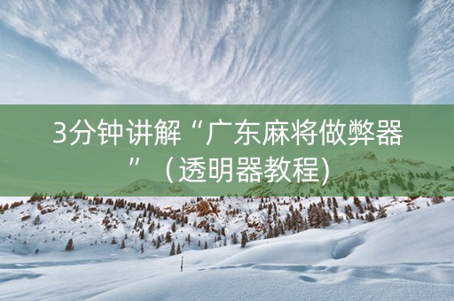 3分钟讲解“广东麻将做弊器”（透明器教程)