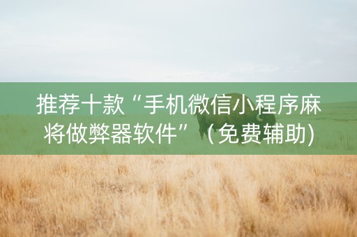 推荐十款“手机微信小程序麻将做弊器软件”（免费辅助)