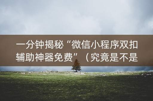 一分钟揭秘“微信小程序双扣辅助神器免费”（究竟是不是有挂)