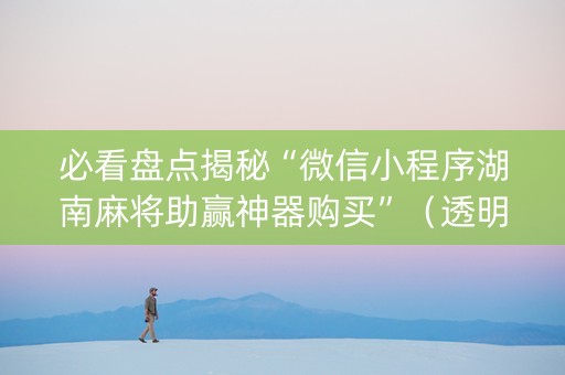 必看盘点揭秘“微信小程序湖南麻将助赢神器购买”（透明器教程)