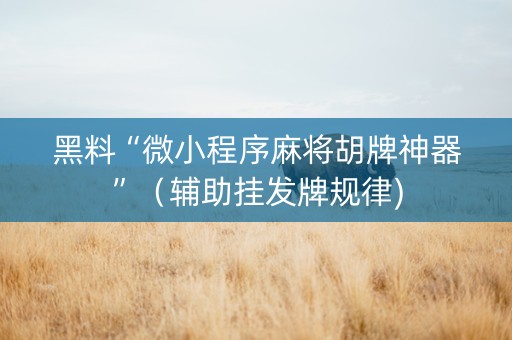 黑料“微小程序麻将胡牌神器”（辅助挂发牌规律)