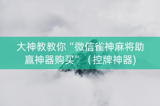 大神教教你“微信雀神麻将助赢神器购买”（控牌神器)
