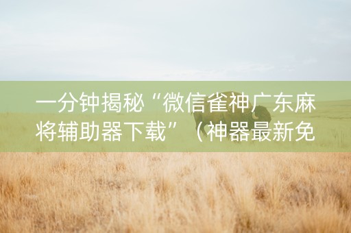 一分钟揭秘“微信雀神广东麻将辅助器下载”（神器最新免费)