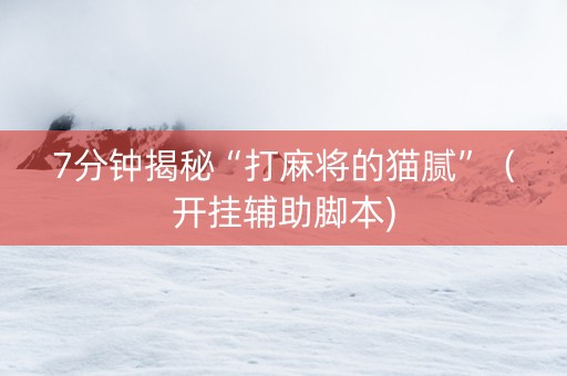 7分钟揭秘“打麻将的猫腻”（开挂辅助脚本)