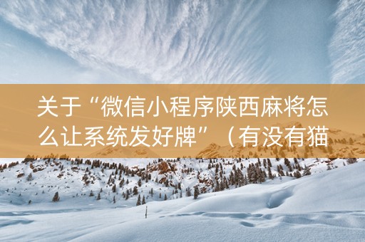 关于“微信小程序陕西麻将怎么让系统发好牌”（有没有猫腻)