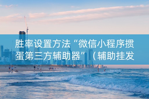 胜率设置方法“微信小程序掼蛋第三方辅助器”（辅助挂发牌规律)