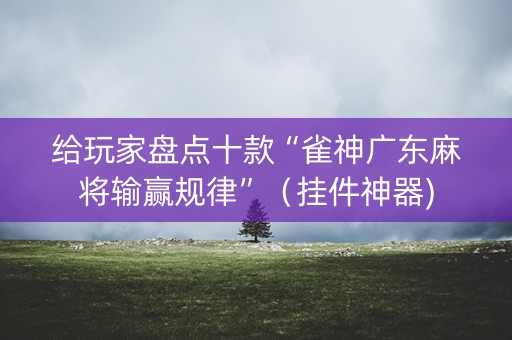 给玩家盘点十款“雀神广东麻将输赢规律”（挂件神器)