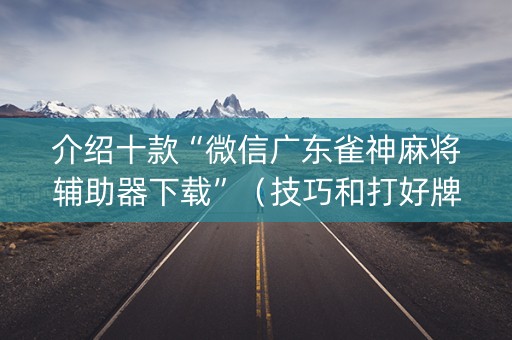 介绍十款“微信广东雀神麻将辅助器下载”（技巧和打好牌方法)