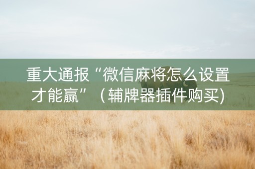 重大通报“微信麻将怎么设置才能赢”（辅牌器插件购买)