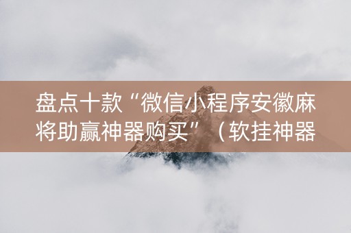 盘点十款“微信小程序安徽麻将助赢神器购买”（软挂神器)