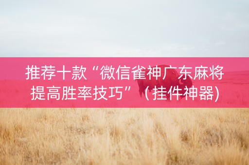 推荐十款“微信雀神广东麻将提高胜率技巧”（挂件神器)