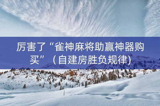厉害了“雀神麻将助赢神器购买”（自建房胜负规律)
