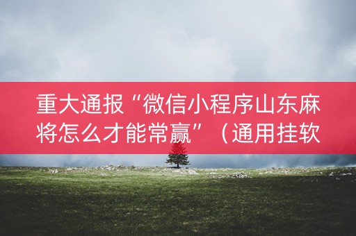 重大通报“微信小程序山东麻将怎么才能常赢”（通用挂软件多少钱)