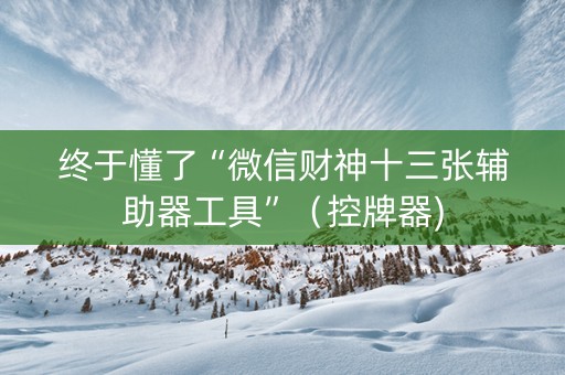 终于懂了“微信财神十三张辅助器工具”（控牌器)