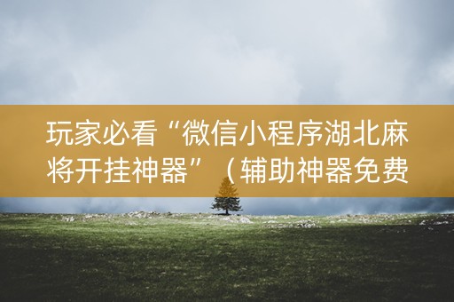 玩家必看“微信小程序湖北麻将开挂神器”（辅助神器免费)