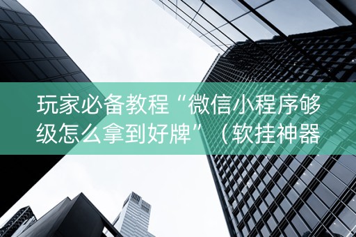 玩家必备教程“微信小程序够级怎么拿到好牌”（软挂神器)
