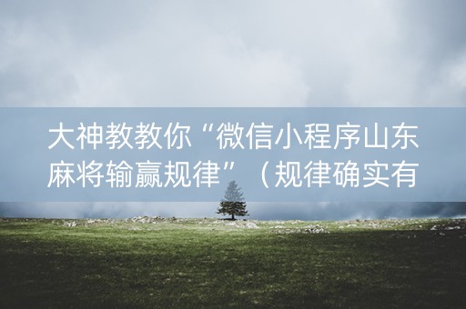 大神教教你“微信小程序山东麻将输赢规律”（规律确实有挂)