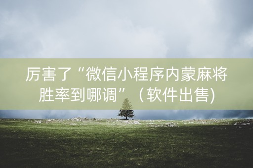 厉害了“微信小程序内蒙麻将胜率到哪调”（软件出售)