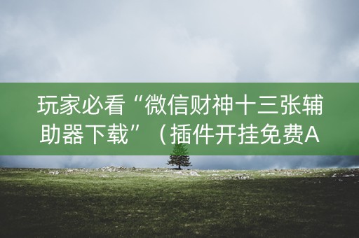 玩家必看“微信财神十三张辅助器下载”（插件开挂免费AI)