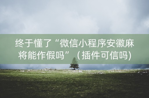 终于懂了“微信小程序安徽麻将能作假吗”（插件可信吗)