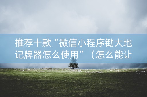 推荐十款“微信小程序锄大地记牌器怎么使用”（怎么能让牌好一点)