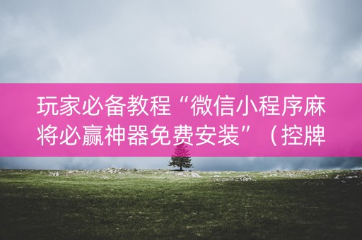 玩家必备教程“微信小程序麻将必赢神器免费安装”（控牌器)