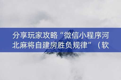 分享玩家攻略“微信小程序河北麻将自建房胜负规律”（软挂神器)