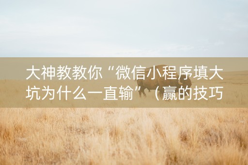 大神教教你“微信小程序填大坑为什么一直输”（赢的技巧规律)