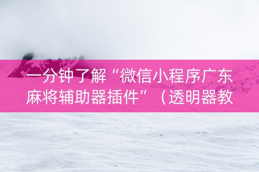 一分钟了解“微信小程序广东麻将辅助器插件”（透明器教程)