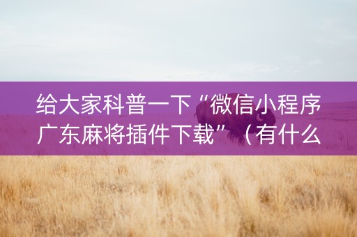 给大家科普一下“微信小程序广东麻将插件下载”（有什么诀窍)