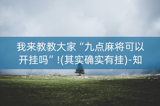 我来教教大家“九点麻将可以开挂吗”!(其实确实有挂)-知乎