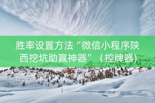 胜率设置方法“微信小程序陕西挖坑助赢神器”（控牌器)