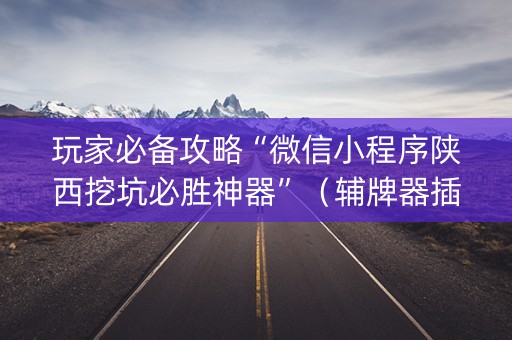 玩家必备攻略“微信小程序陕西挖坑必胜神器”（辅牌器插件购买)
