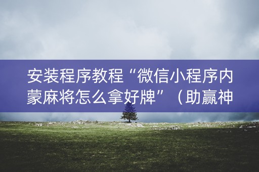 安装程序教程“微信小程序内蒙麻将怎么拿好牌”（助赢神器购买)