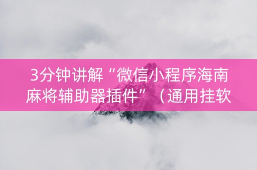 3分钟讲解“微信小程序海南麻将辅助器插件”（通用挂软件多少钱)