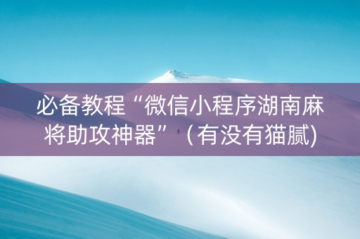 必备教程“微信小程序湖南麻将助攻神器”（有没有猫腻)