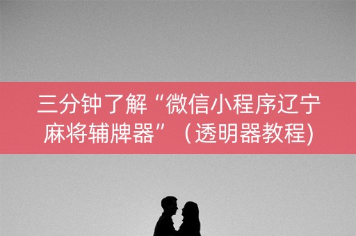 三分钟了解“微信小程序辽宁麻将辅牌器”（透明器教程)