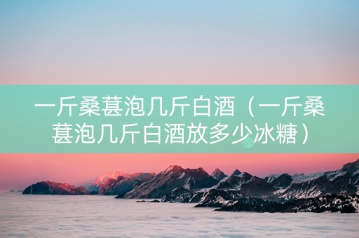 一斤桑葚泡几斤白酒（一斤桑葚泡几斤白酒放多少冰糖）
