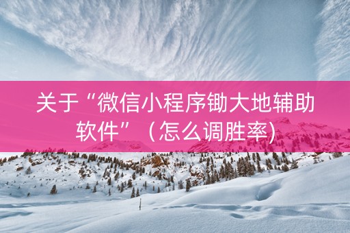 关于“微信小程序锄大地辅助软件”（怎么调胜率)