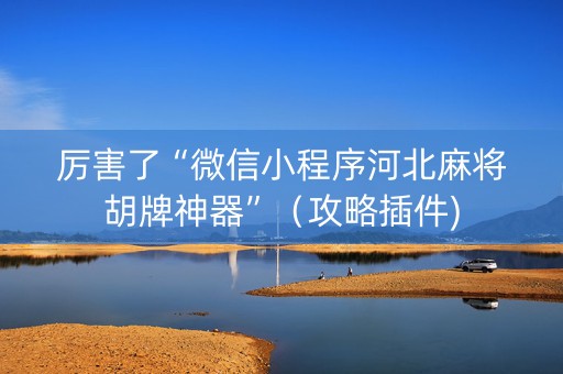 厉害了“微信小程序河北麻将胡牌神器”（攻略插件)