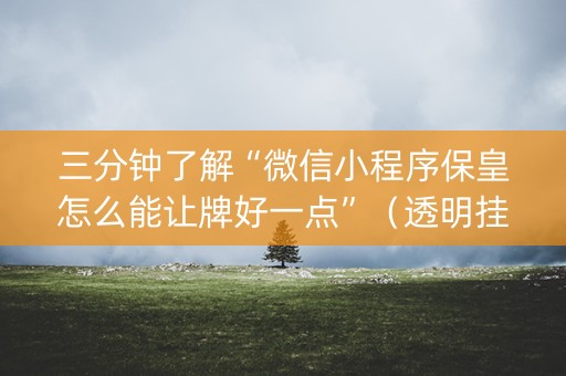 三分钟了解“微信小程序保皇怎么能让牌好一点”（透明挂辅助器)
