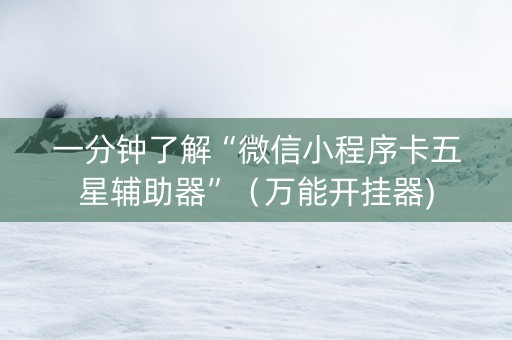 一分钟了解“微信小程序卡五星辅助器”（万能开挂器)
