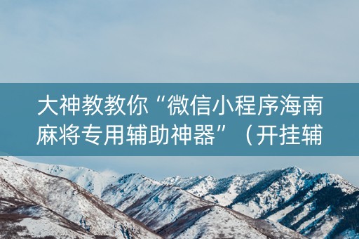 大神教教你“微信小程序海南麻将专用辅助神器”（开挂辅助器插件)