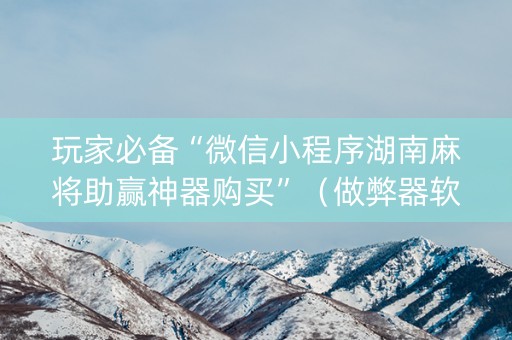 玩家必备“微信小程序湖南麻将助赢神器购买”（做弊器软件下载)