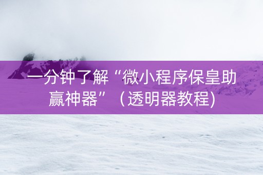 一分钟了解“微小程序保皇助赢神器”（透明器教程)