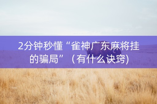 2分钟秒懂“雀神广东麻将挂的骗局”（有什么诀窍)