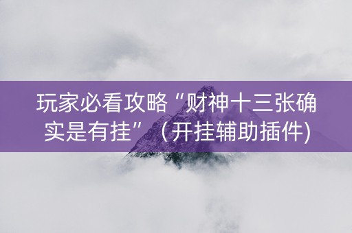玩家必看攻略“财神十三张确实是有挂”（开挂辅助插件)