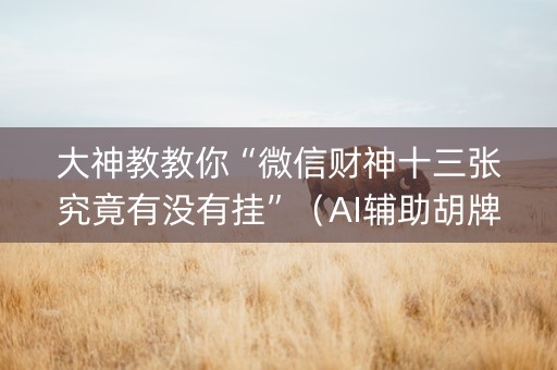 大神教教你“微信财神十三张究竟有没有挂”（AI辅助胡牌规则)